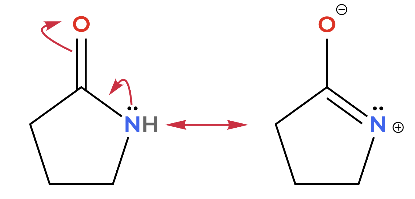 Amide resonance structure with N=C double bond, positive charge on N, negative charge on O